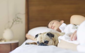 5 Sleep Specialists On What They Do When They Can’t Fall Asleep